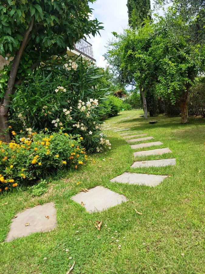 Villa Pineland บอร์เก็ตโต ซานโต สปีริโต ภายนอก รูปภาพ